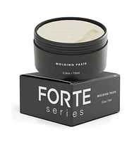 Forte Series Molding Paste Strong Hold
