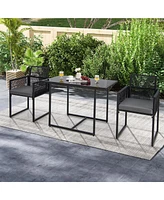 3PCS Patio Pe Wicker Furniture Set Cushioned Chairs with Folding Backrest Backyard