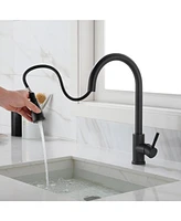 Kitchen Faucet with Pull Out Spraye