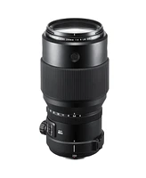 Fujifilm Gf 250mm f/4 R Lm Ois Wr Lens