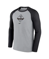 Men's Nike Gray