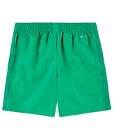Nike Little Boys Dri-fit Icon Woven Shorts