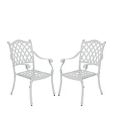Mondawe Outdoor Cast Aluminum Dining Armchair