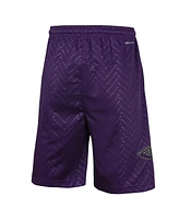 Nike Big Boys and Girls Purple New Orleans Pelicans 2024/25 City Edition Swingman Performance Shorts