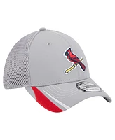 New Era Men's Gray St. Louis Cardinals Linear 39Thirty Flex-Fit Hat