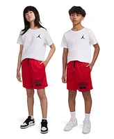 Jordan Big Boys Mesh Logo Shorts