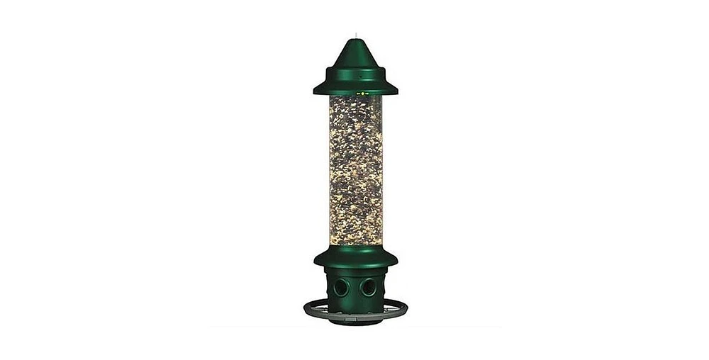 Squirrel-Proof Bird Feeder with Perch Ring for Outdoor Feeding Stations