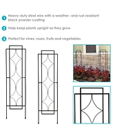 2-Piece Chic Diamonds Design Garden Trellis for Climbing Plants Set - Metal Decorative Outdoor Plant and Flower Trellis - 60-Inch Tall Each - Black
