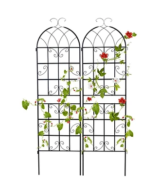 Outdoor Garden Trellis for Climbing Plants and Vines Support (Set of 2)