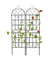Outdoor Garden Trellis for Climbing Plants and Vines Support (Set of 2)