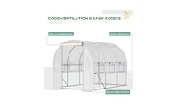Walk-In Greenhouse for Gardening – Large Outdoor Plant Growing Space