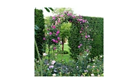 Elegant Garden Arch Trellis for Climbing Plants and Outdoor Decor
