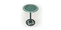 Outdoor Garden Bird Bath Bowl with Stand for Backyard Bird Watching