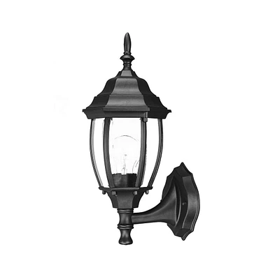 Globe Lantern Wall Light for Indoor and Outdoor Accent Lighting