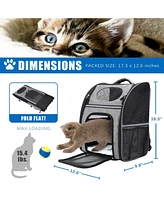 FluffyDream Pet Carrier Backpack for Large/Small Cats and Dogs, Puppies, Safety Features and Cushion Back Support for Travel, Hiking, Outdoor Use, Bla