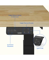 Flexispot E7-commercial 48 W Electric Adjustable Standing Desk, Rubber Wood Top, Black Base