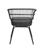 Outdoor Rattan Dining Chairs - Set of 2, Gray Base