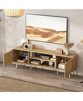 Tv stand with rattan door panels, media console with two doors and two compartments, entertainment center with legs
