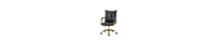 Modern Home Office Desk Chair with Golden Legs