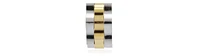 Two-Tone Stainless Steel Huggie Earring