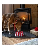 Aqua-Fur Dog Bowl 18oz: Peppermint
