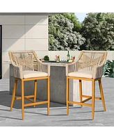 Bar stools Set of 2 with Arm and Backrest, Outdoor Counter Height Chairs Cushion, Aluminum Tall Modern Textilene Rope Boho Barstoo