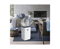 125-Pint 2-Speed Dehumidifier Energy Star (For Rooms 3001+ sq ft)