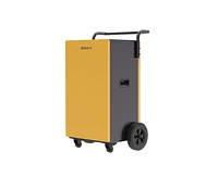 200-Pint 2-Speed Dehumidifier Energy Star (For Rooms 3001+ sq ft)