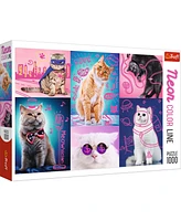 Trefl Red Neon Color Line 1000 Piece Puzzle - Super cats