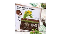 Elevated Garden Bed Perfect for Growing Vegetables, Herbs, and Flowers Outdoors