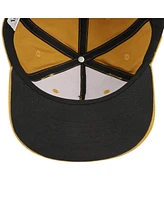 Pokemon Boys Pokemon Face Eevee Youth Brown Snapback Hat
