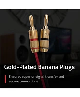 Fluance High-Fidelity 12 Gauge Speaker Wire with Dual Gold-Plated Banana Plugs, 12 Feet Oxygen-Free Pure Copper (Ofc) Cable, Nylon Braided Jacket (SW5