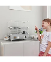 PawHut 2-Tier Hamster Cage, Hamster Habitat with Accessories,
