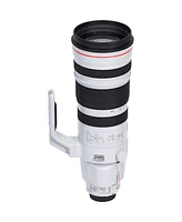 Canon Ef 200-400mm f/4L Is Usm Extender 1.4x Lens