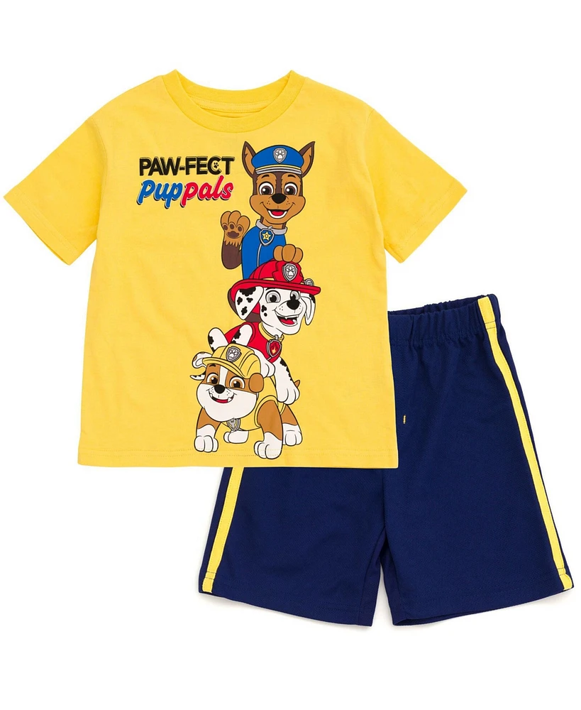Paw Patrol Boys T-Shirt and Mesh Basketball Shorts Outfit Set