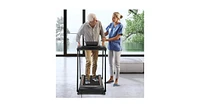 2.5 Hp Walking Treadmill with Long Handrails for Seniors
