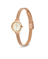 Daniel Wellington Unisex Analog Rose Gold-Tone Stainless Steel Watch, 19mm