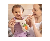 Sperric Easter Plush Bunny and Silicone Teether Set, Cute with Carrot & Basket Teethers