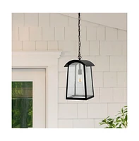 Adalai 10" Outdoor Pendant
