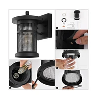 Osprey 7.5" Outdoor Sconce