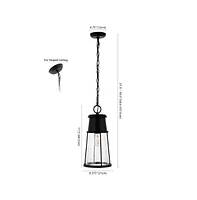 Laela 8.4" Outdoor Pendant