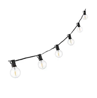 Jenica Outdoor String Lights