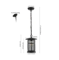 Osprey 8" Outdoor Pendant