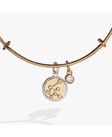 Zodiac Bangle Bracelet Aquarius