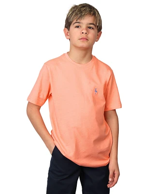 Tailorbyrd Boys Super Soft Heathered Melange T-Shirt