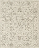 Nourison Home Shadows SHW07 5'3"x7'3" Area Rug