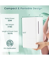 4L Ultrasonic Humidifier with Essential Oil Diffuser and 2 Mist Levels
