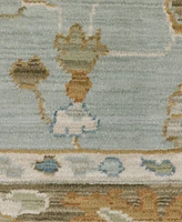 Oriental Weavers Maeve MAE06 9'10"x12'10" Area Rug