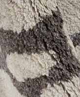 Thom Filicia for Feizy Belden T6001 2'x3' Area Rug