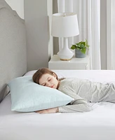 Sleep Philosophy Rayon from Bamboo Shredded Memory Foam Pillow